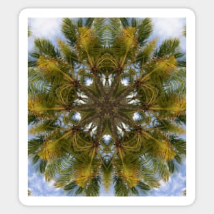 Pattern of palm trees, Miami Beach, Florida Sticker